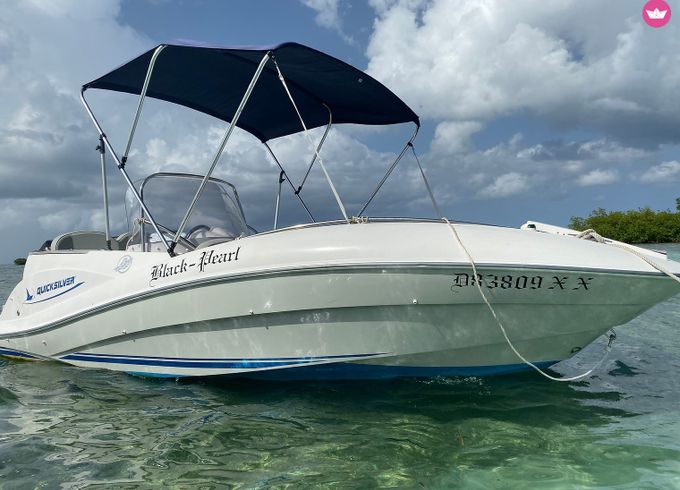 quicksilver quicksilver 550 commander
