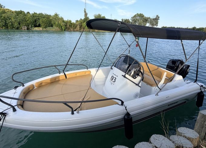 ranieri shark 19