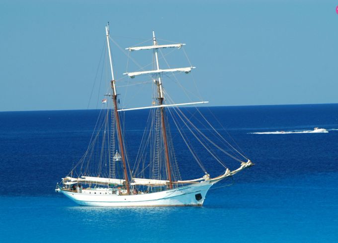 van den berg topsegelschoner
