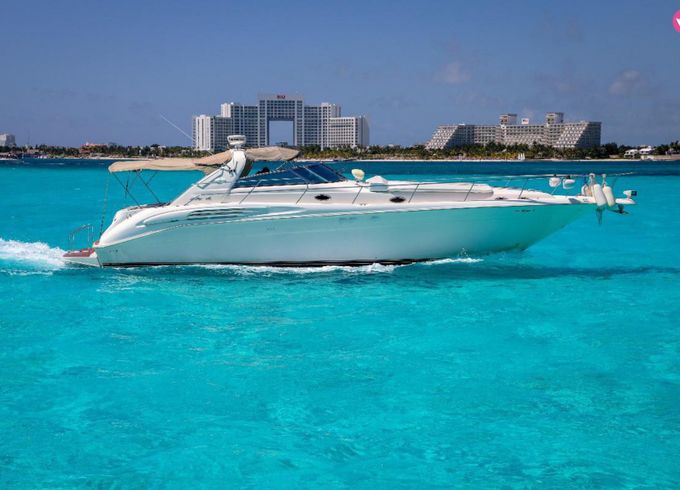 sea ray sundancer