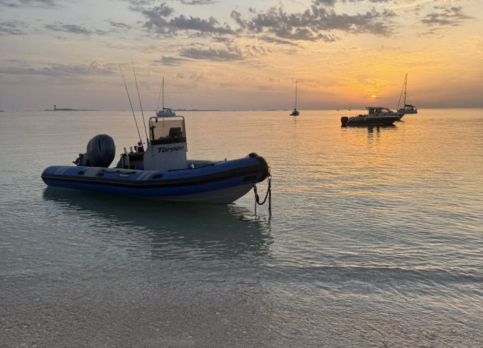 tarpon dv 62