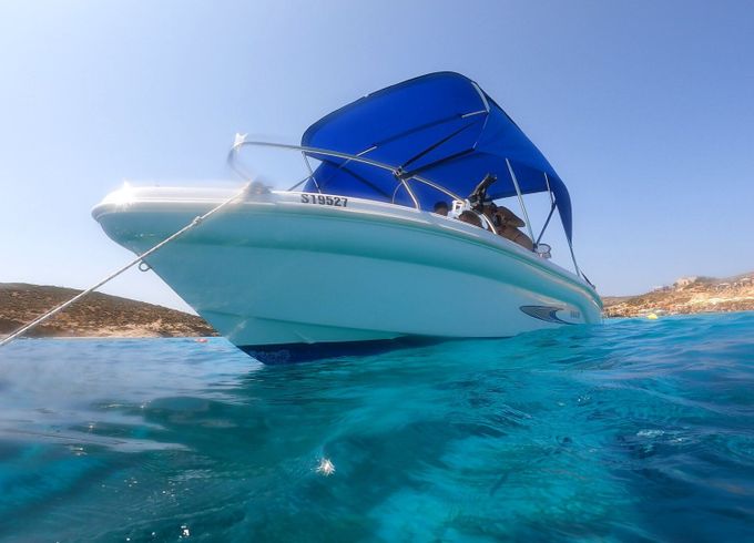 ranieri shark 17