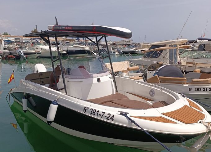 femis 620 sport