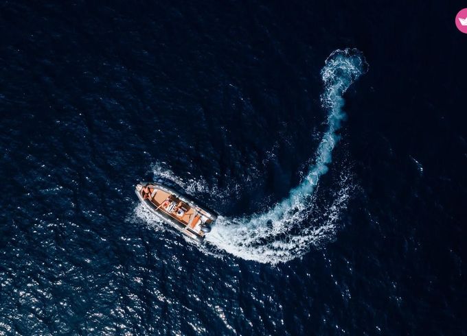 tiger marine 650 open
