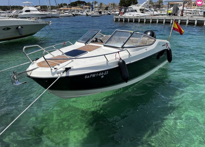 quicksilver activ 595 cruiser