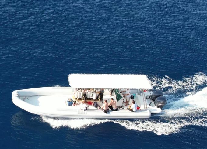 ls marine interceptor 33