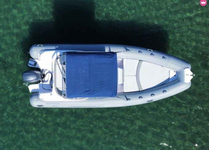predator 650 touring