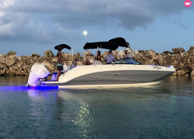 sea ray sdx 26'