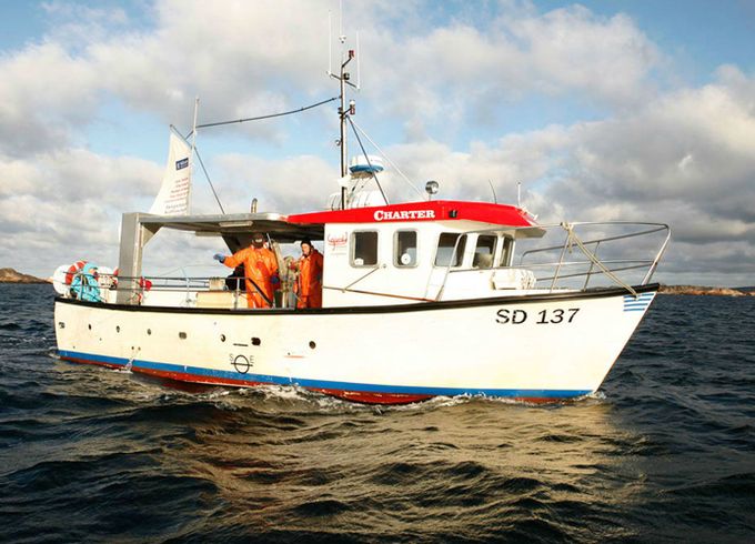 stigfjord 37