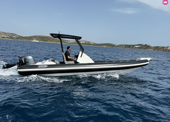 lobster 24