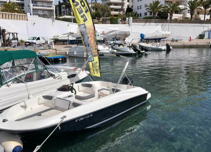 bayliner element