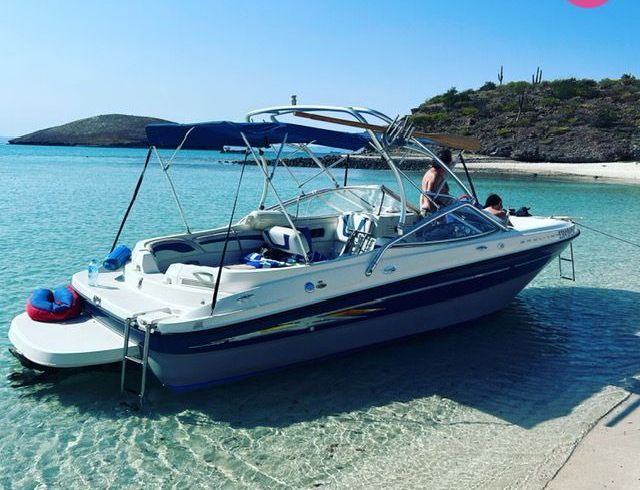 bayliner 245