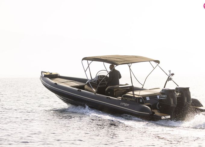 viper magnum 10