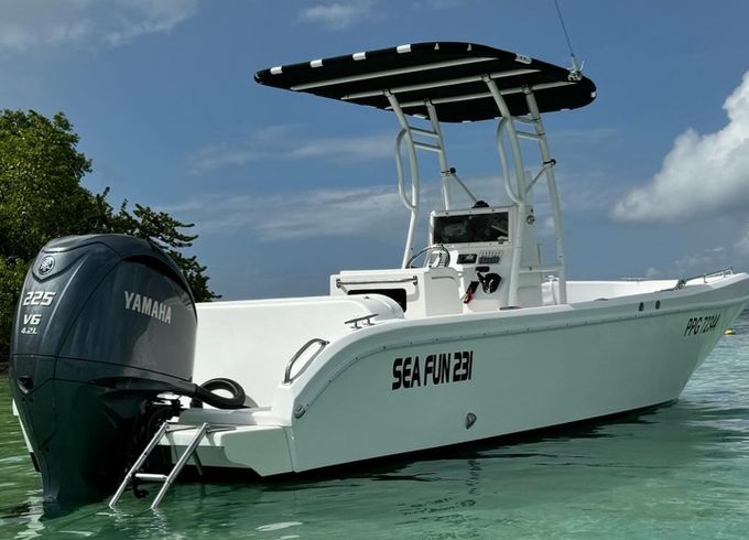 forboat 23 open