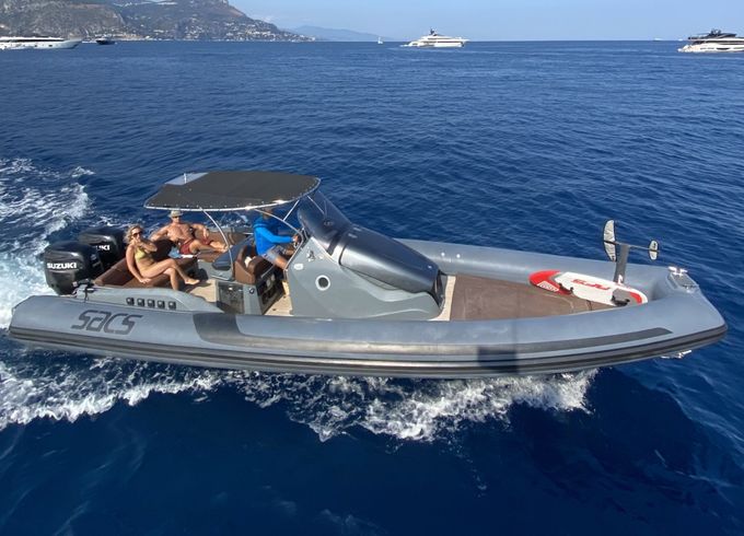 sacs marine strider 10