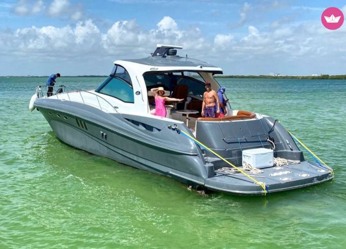 sea ray sundancer