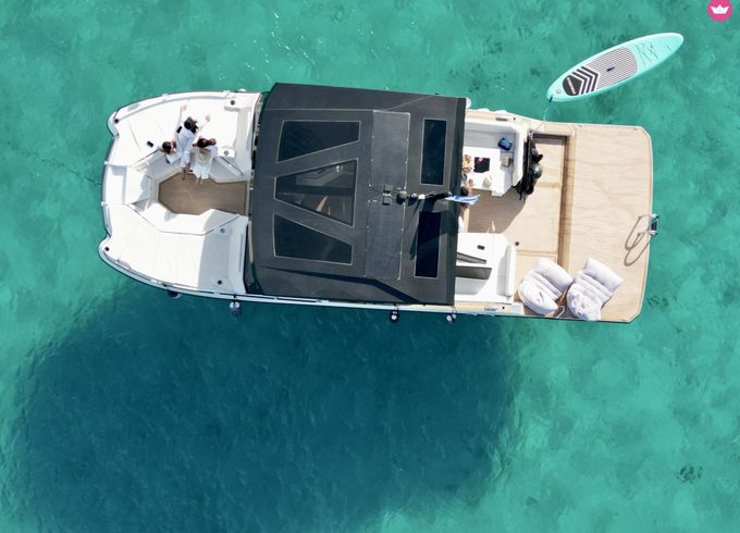 tesoro t41 power cat