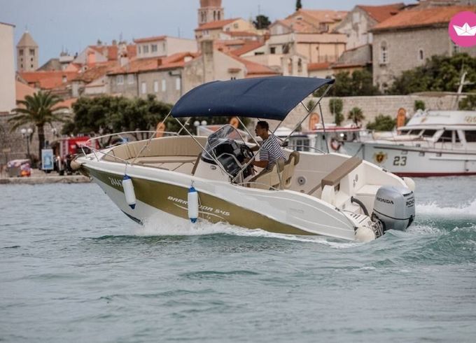 barracuda 545