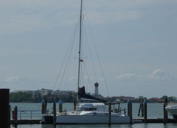 wissman cat 36