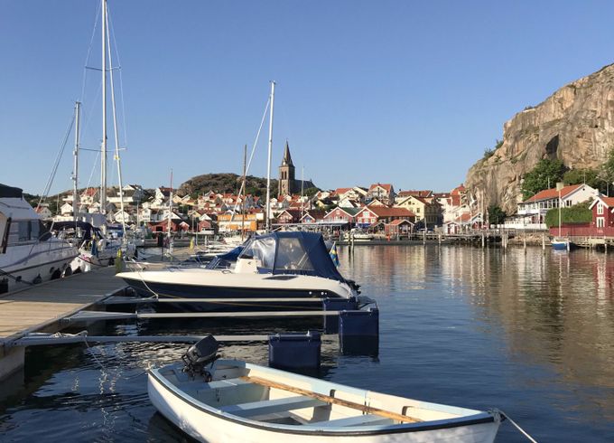 koster 46