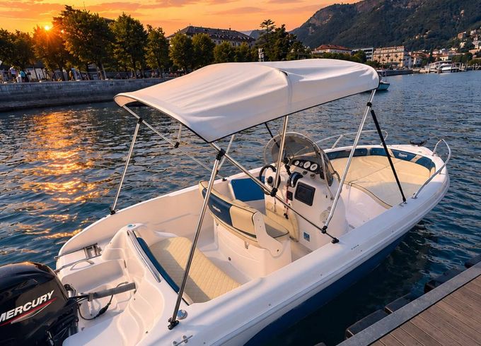 ranieri shark 19