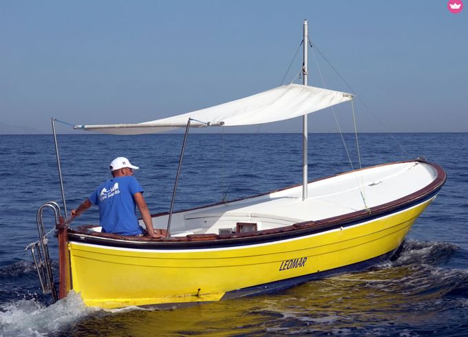 bertozzi gozzo