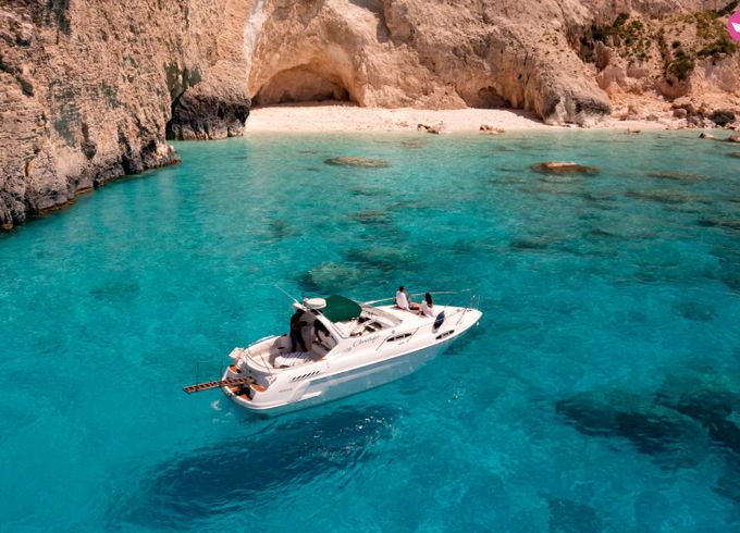 sealine ambassador