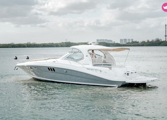 sea ray sundancer
