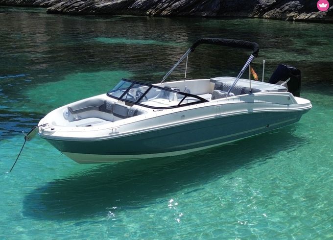 bayliner vr6