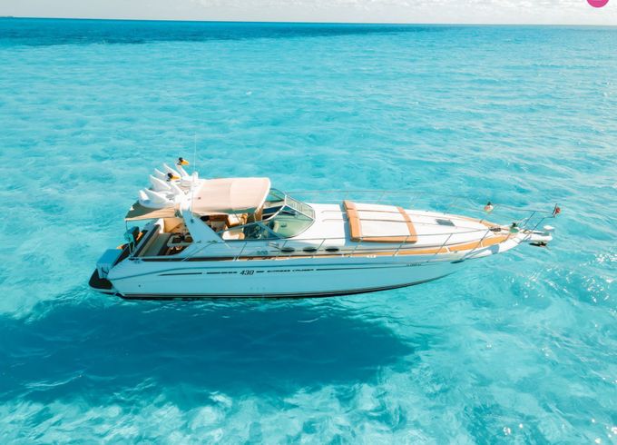 sea ray 43