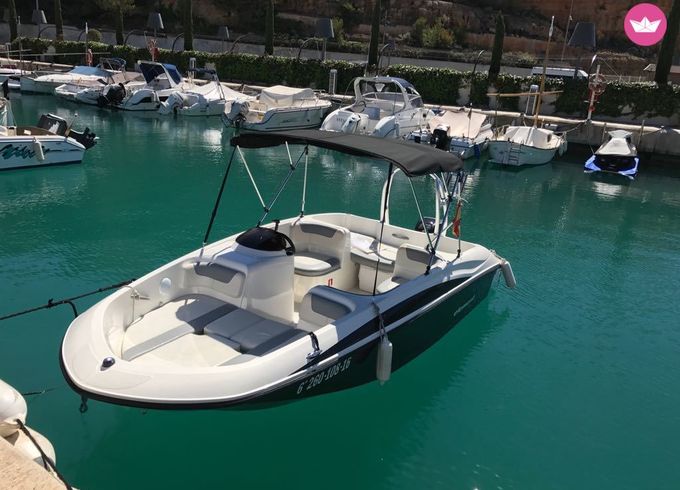 bayliner element 160