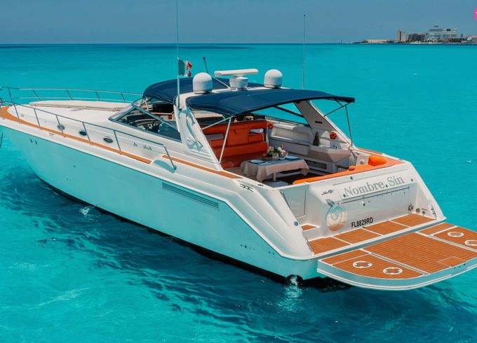 sea ray sundancer