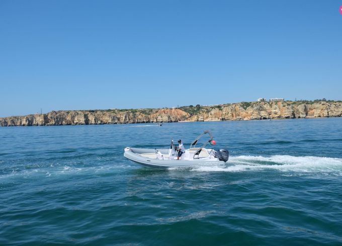 italboats 650 predator