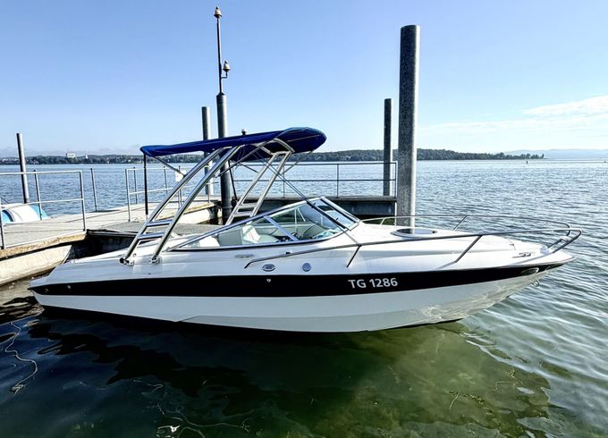 hellwig milos v590