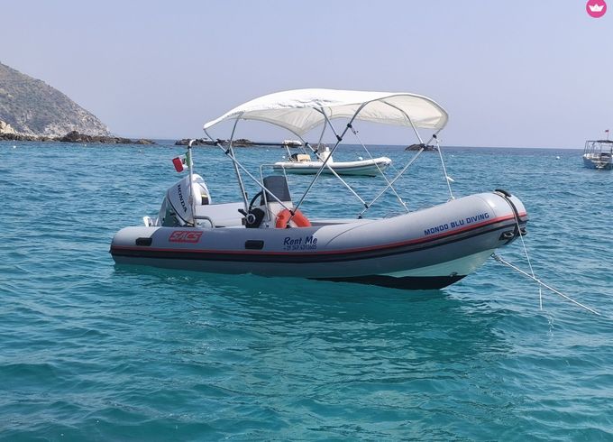 sacs marine 490