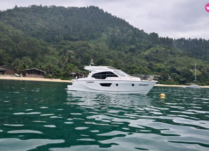 sessa marine c42