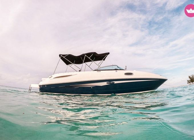 sea ray 8m