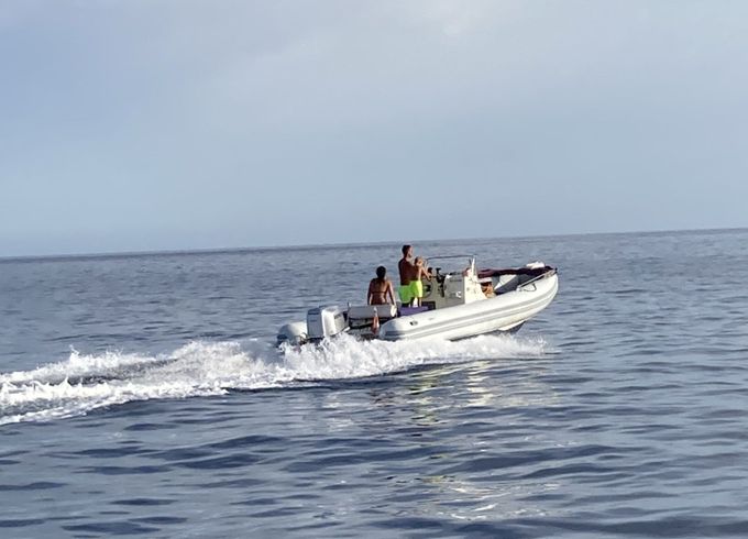joker boat clubman 24’