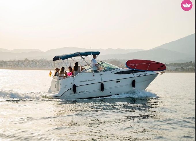 brunswick boat group 245 sunbridge