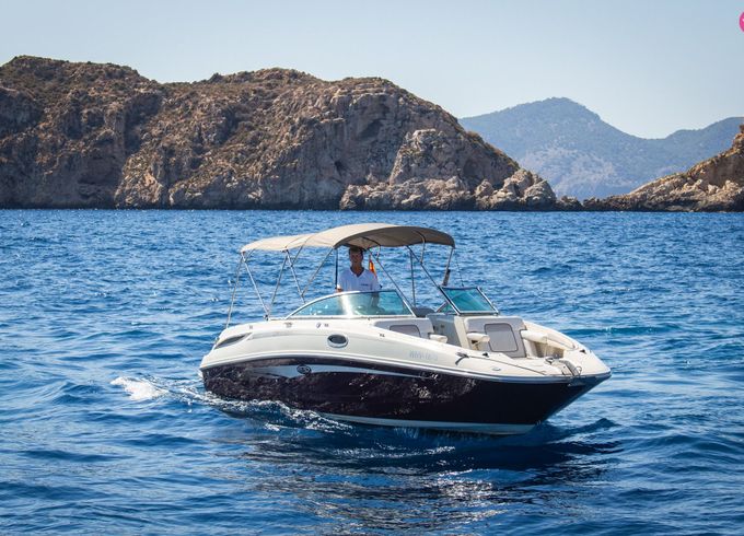 searay 280 sun deck