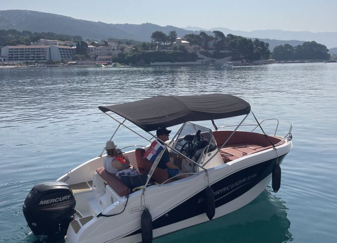 barracuda 545