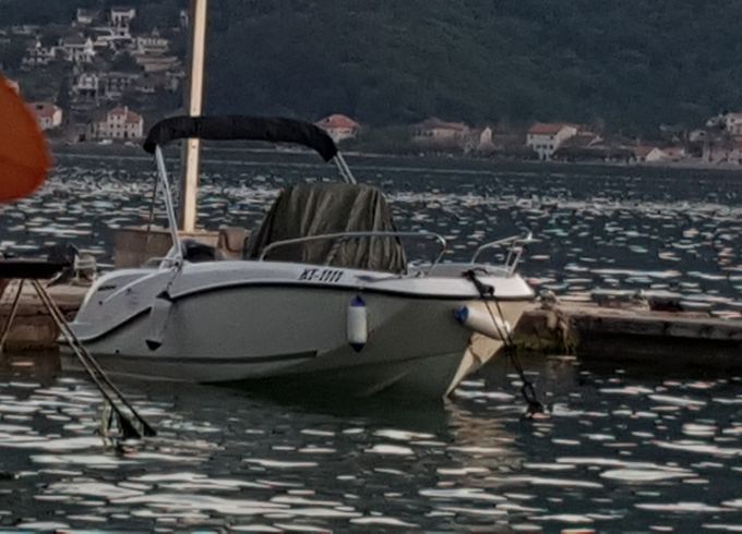 Quicksilver Activ 555