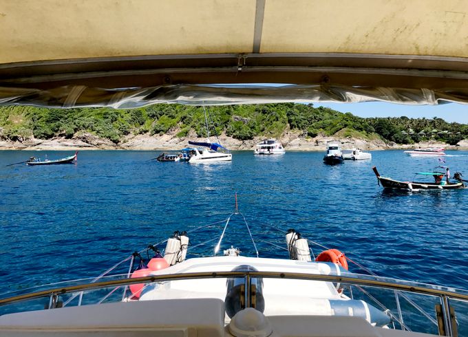 Sea Hawk 47