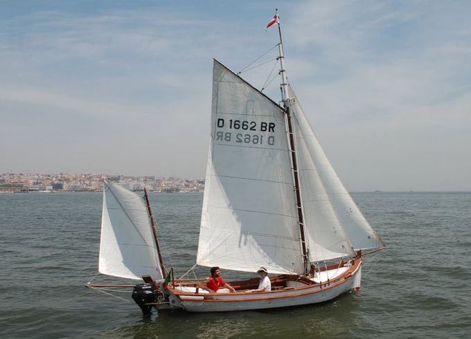 Catraio do Tejo