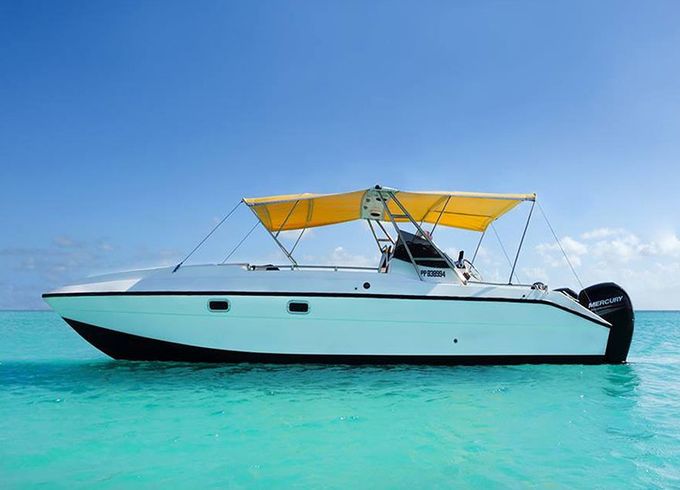 Power Cat 27