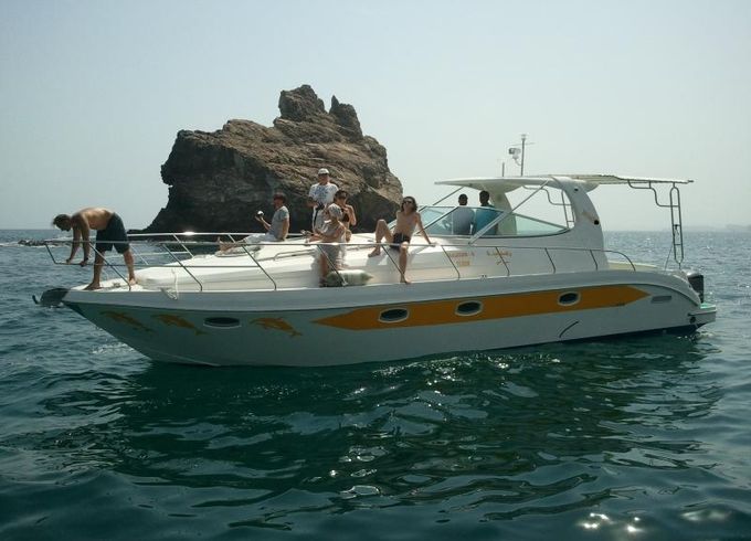 Oryx 40