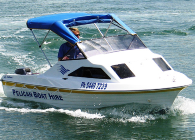Pelican Small