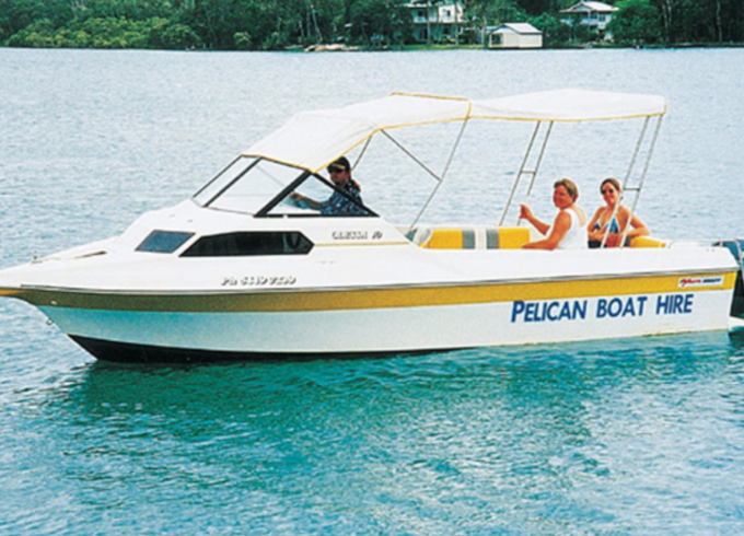 Pelican Large
