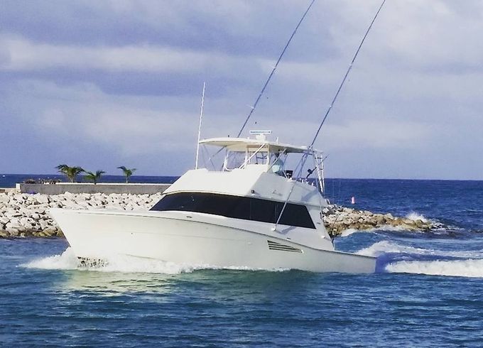 Deep Sea Fishing 53 Viking 