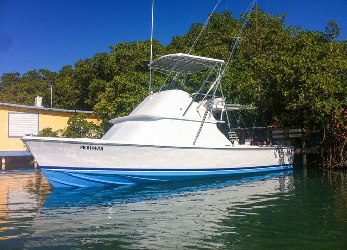 Bertram 31' Sport fisherman